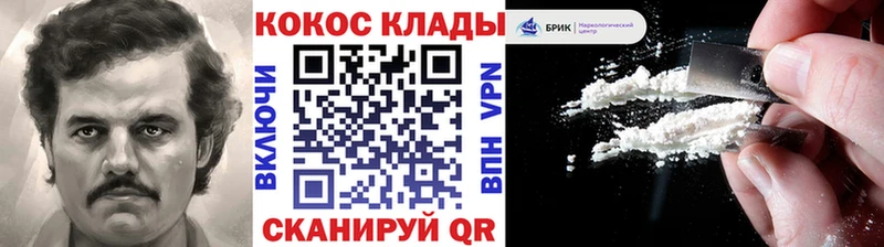 продажа наркотиков  Магас  Кокаин Fish Scale 