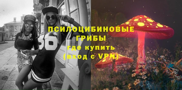 дурь Аркадак