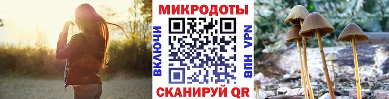 Псилоцибиновые грибы прущие грибы  Магас 