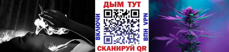 Бошки марихуана VHQ  darknet телеграм  Магас 